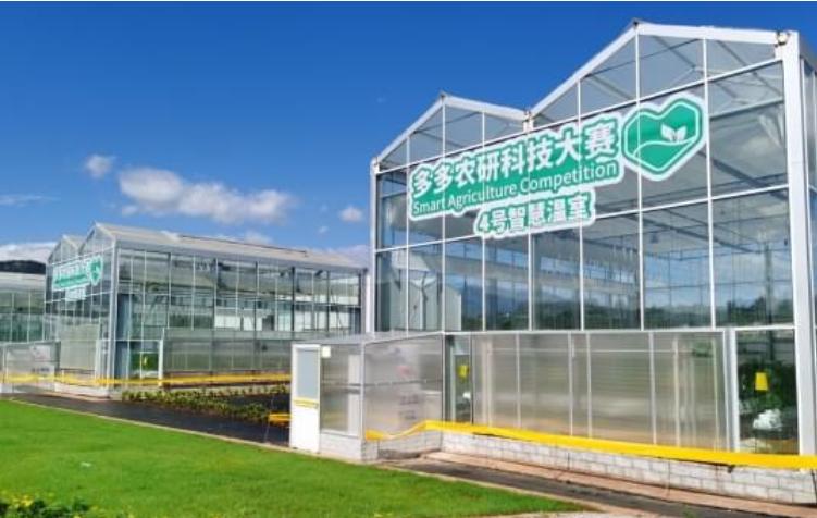 阿里京东拼多多电商下半场拼什么,阿里京东拼多多电商江湖谁主沉浮