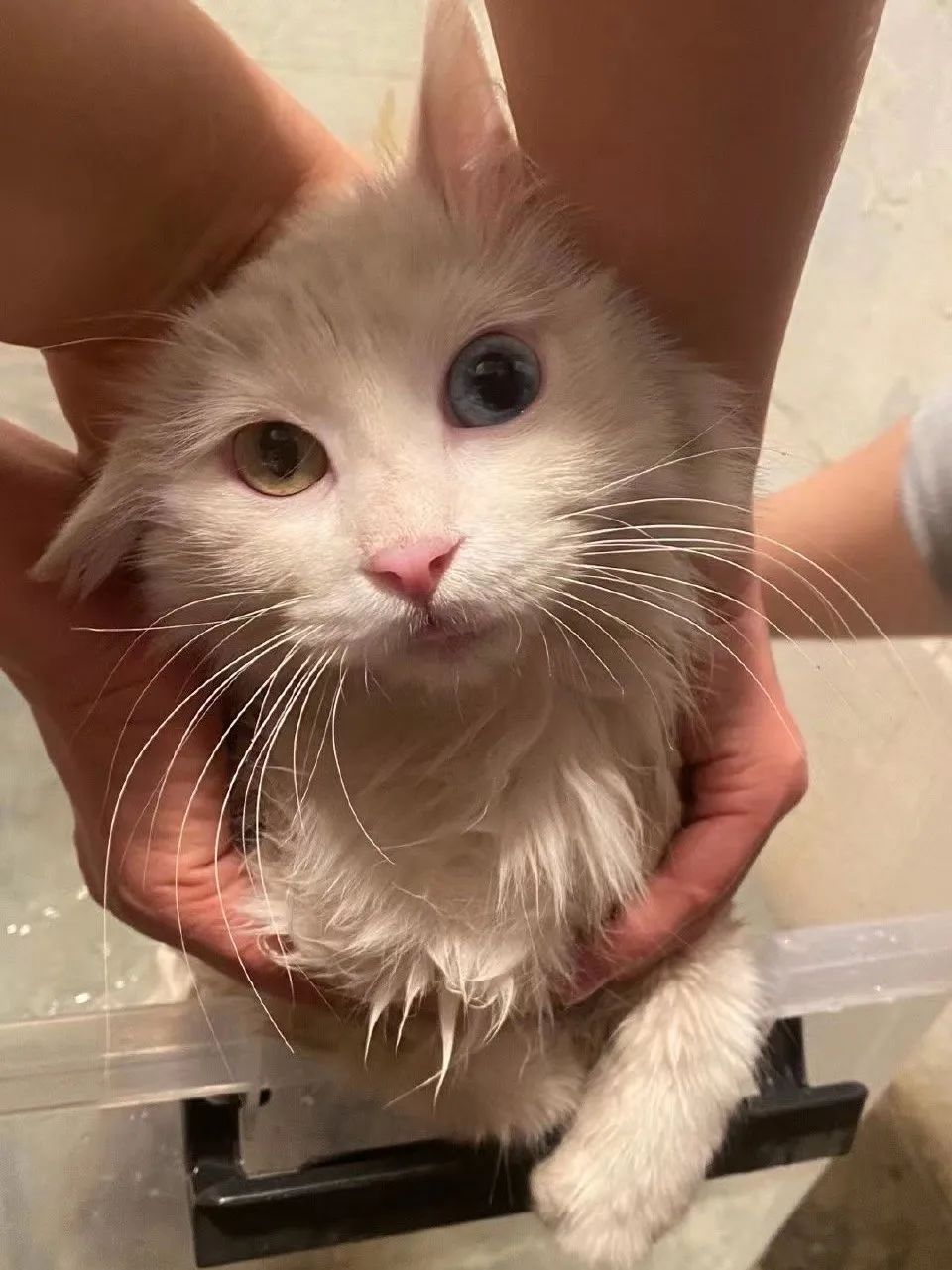 赵明明：上班摸鱼，是我的梦想!