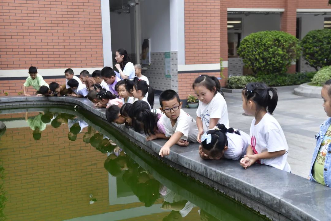 南京市秦淮实验小学一年级新生开学啦