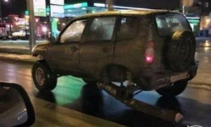 俄罗斯游客逃票打棕熊,俄罗斯两逃票男子把棕熊打成重伤