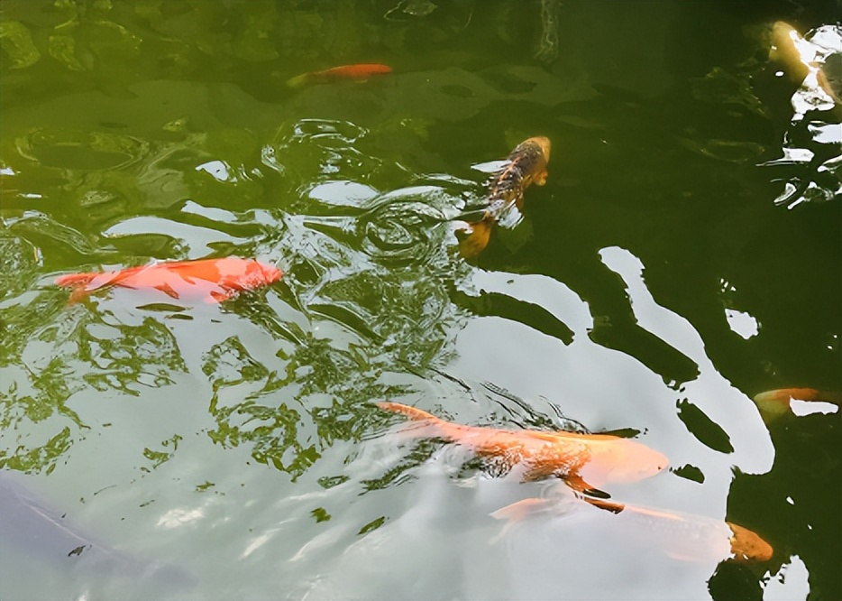 小学1-6年级所有古诗，所有数学公式，留给孩子