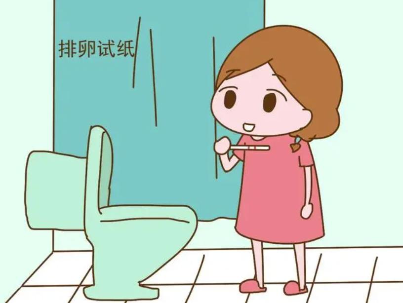 备孕在家怎么测,备孕自己在家怎么测排卵试纸