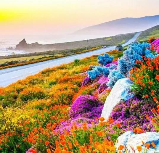 天地承载万物而不争,天地生则万物生