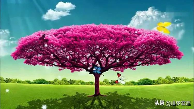 杩囧皬骞村皬鍥㈠渾,杩囧皬骞翠汉闂村皬鍥㈠渾