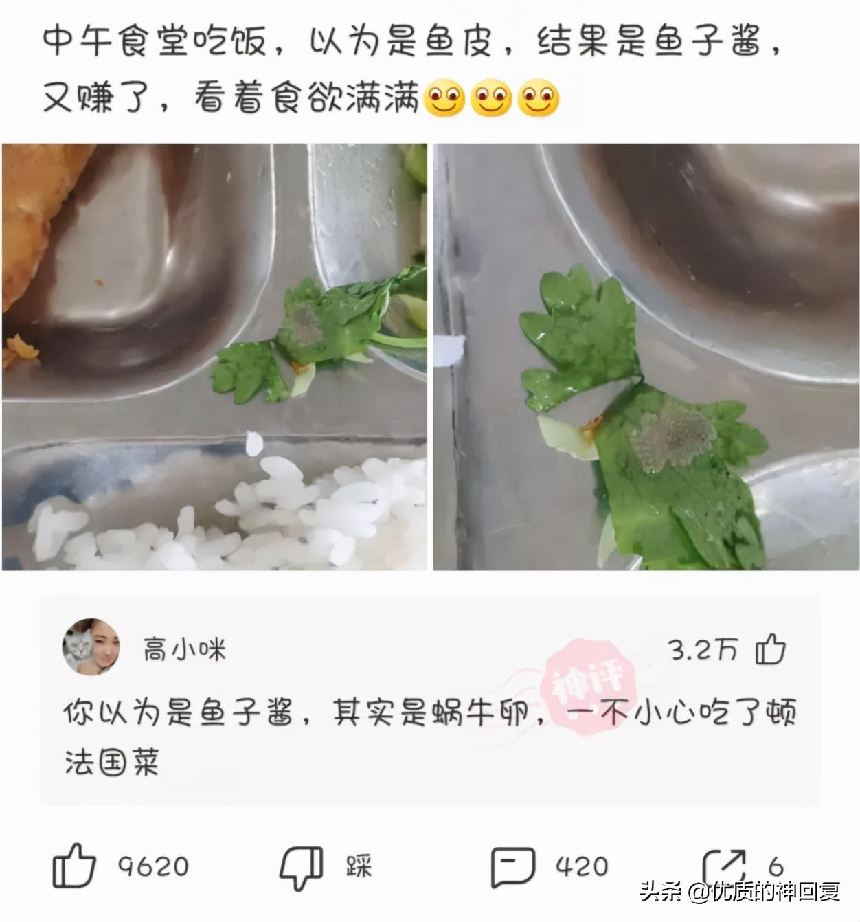 同事总是说要离职怎么回复,同事说要离职了