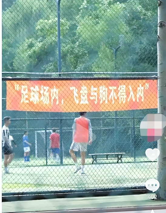 足球为什么不能飞盘,为什么足球场内不可以飞盘