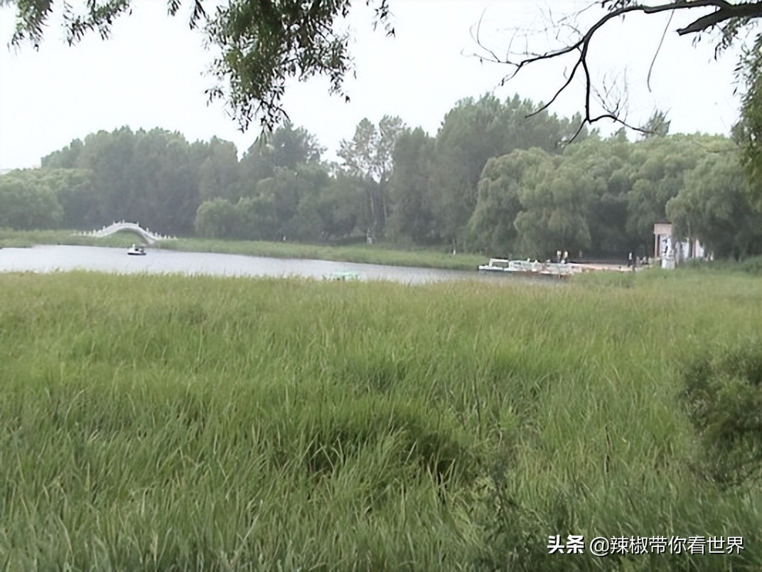 美在黑龙江：走进诗意山水之齐齐哈尔这里是世界大湿地中国鹤家乡