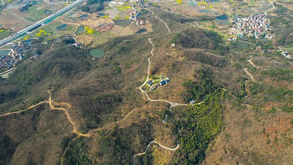 鄂州市泽林镇最新消息,鄂城区泽林镇泽林街