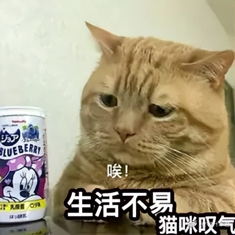 安徽学前教育专升本院校有哪些,安徽学前教育专升本院校及专业