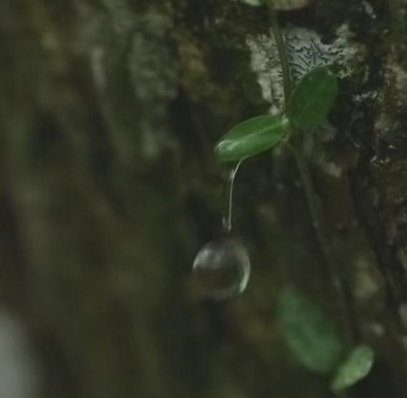 女演员揭秘娱乐圈内幕,娱乐圈被毁掉的女星