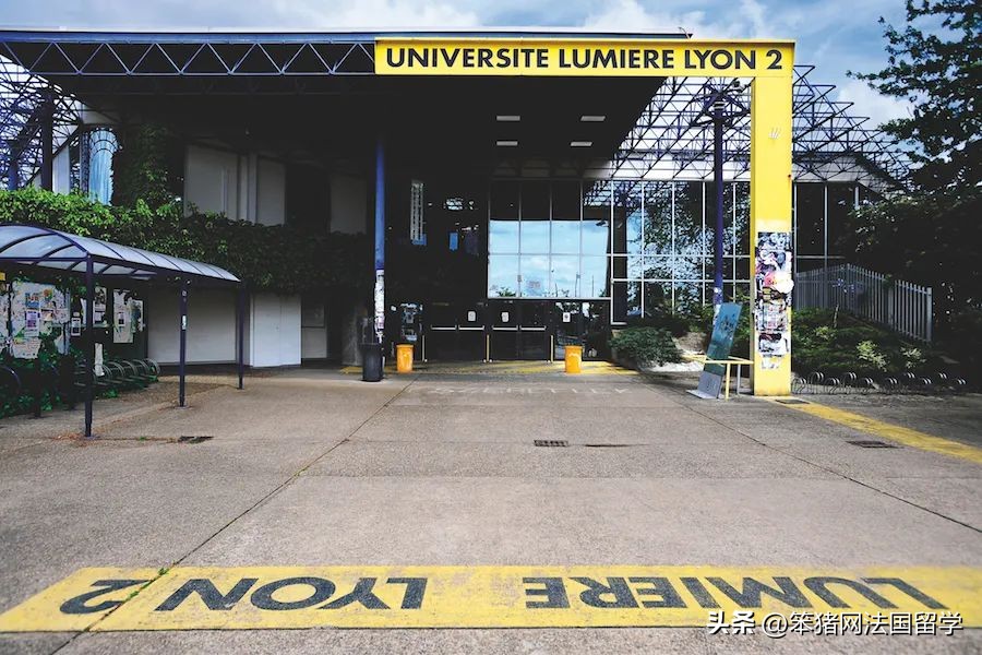 笨猪法语中文,笨猪法语