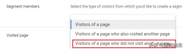 谷歌的广告推广技巧是什么,谷歌展示广告支持两种再营销方式