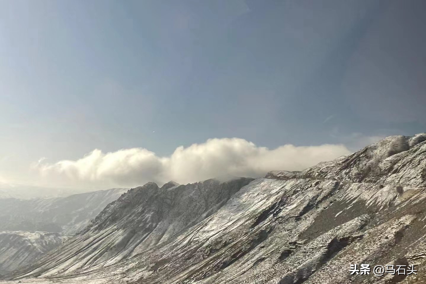 大多数人都是孤独的吗,成年人大多数都是孤独的