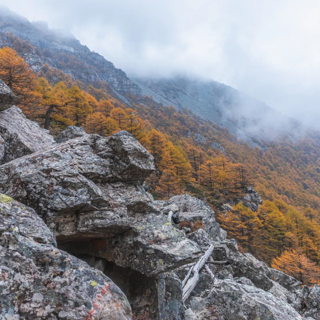 登太白山感受,太白山景区登顶拔仙台