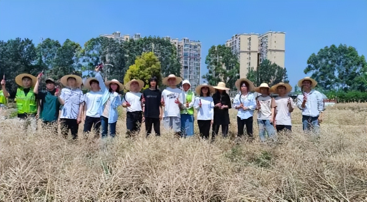 在成都读大学好就业吗,在成都读研究生是什么体验