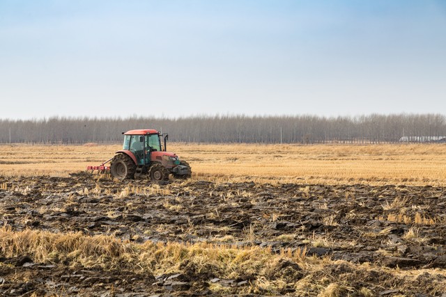 农村整治五类人将面临清查,乡镇能出台经营禁止令吗