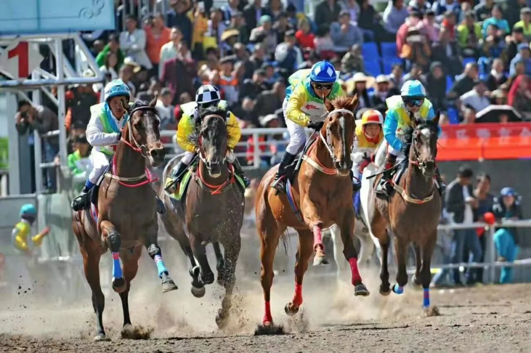 大理市教育体育局十四五规划,大理州2023年教育体育工作要点