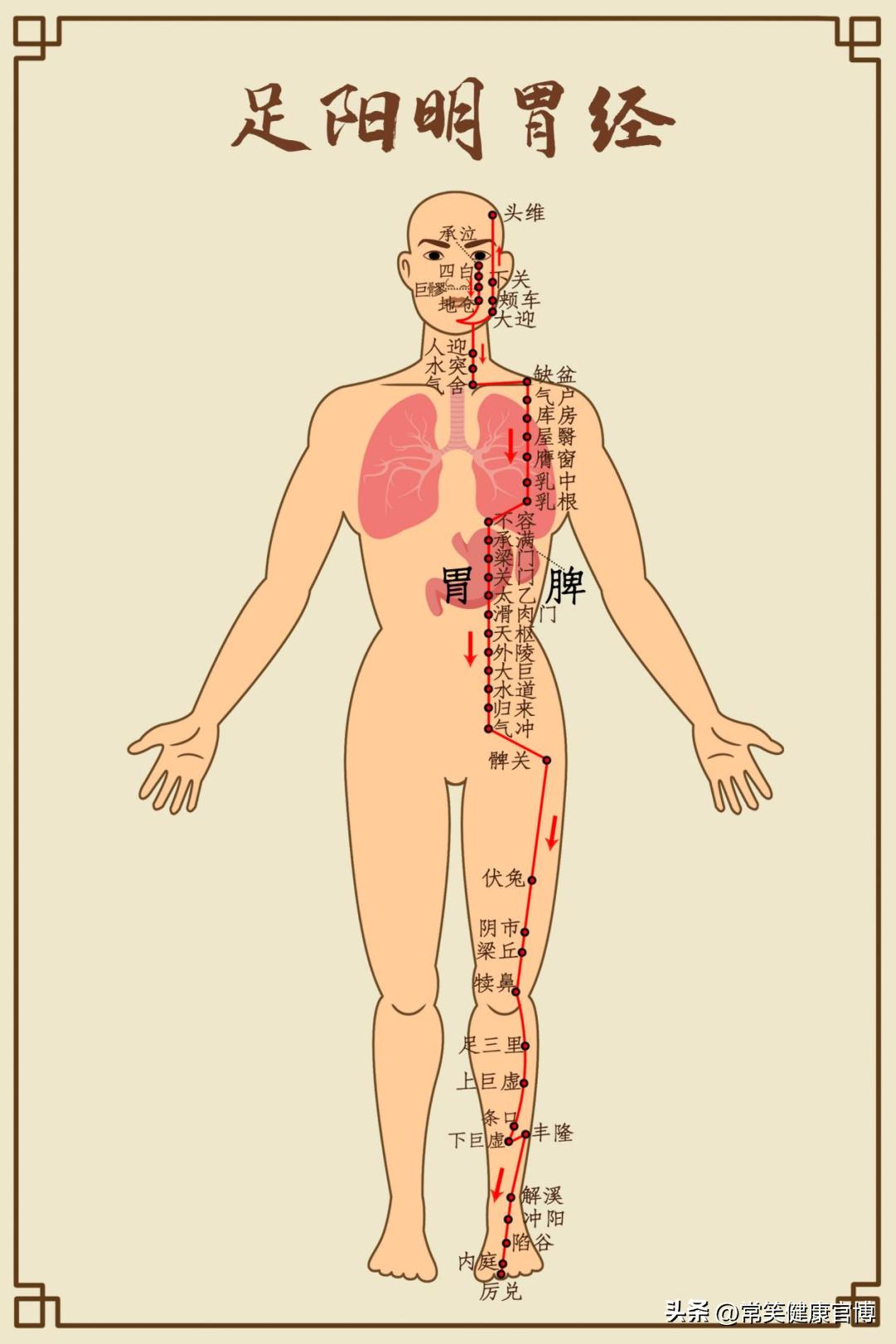 看了《后浪》才知道，端午节必备的艾草，原来一个夏天都这么有用