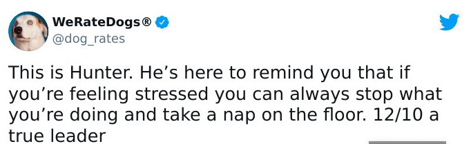 缇庡浗灏忓摜鐐硅瘎瑙嗛,缇庡浗灏忓摜鐐硅瘎