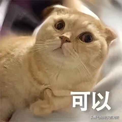 雅思口语误区,雅思口语给一个好建议