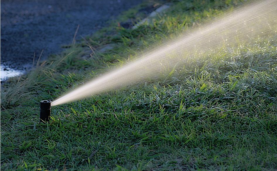 扦插月季添加微生物菌剂有好处吗,加入生根粉和多菌灵的土能种菜吗