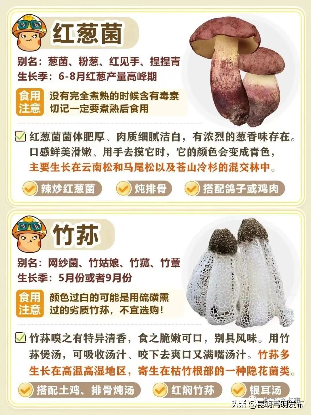 孩子开车撞人去自首,儿子开车撞人最后自首