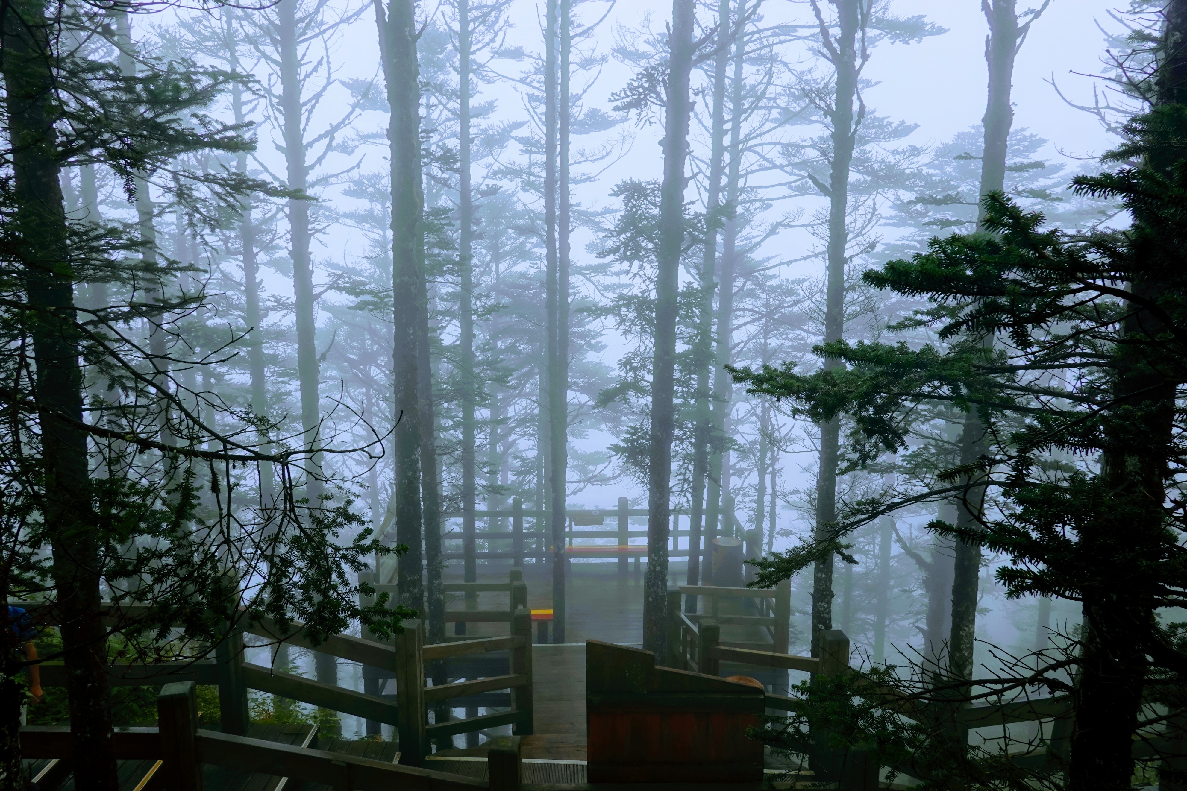 成都大邑徒步旅游攻略,大邑西岭雪山后山门票