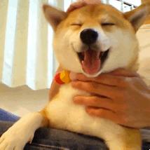 企业管理的病态现象,公司中层管理的十大技巧