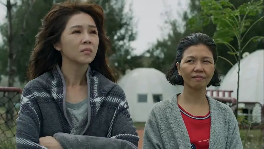 婚姻的真相无论跟谁过其实都一样,婚姻的真相也是生活的真相