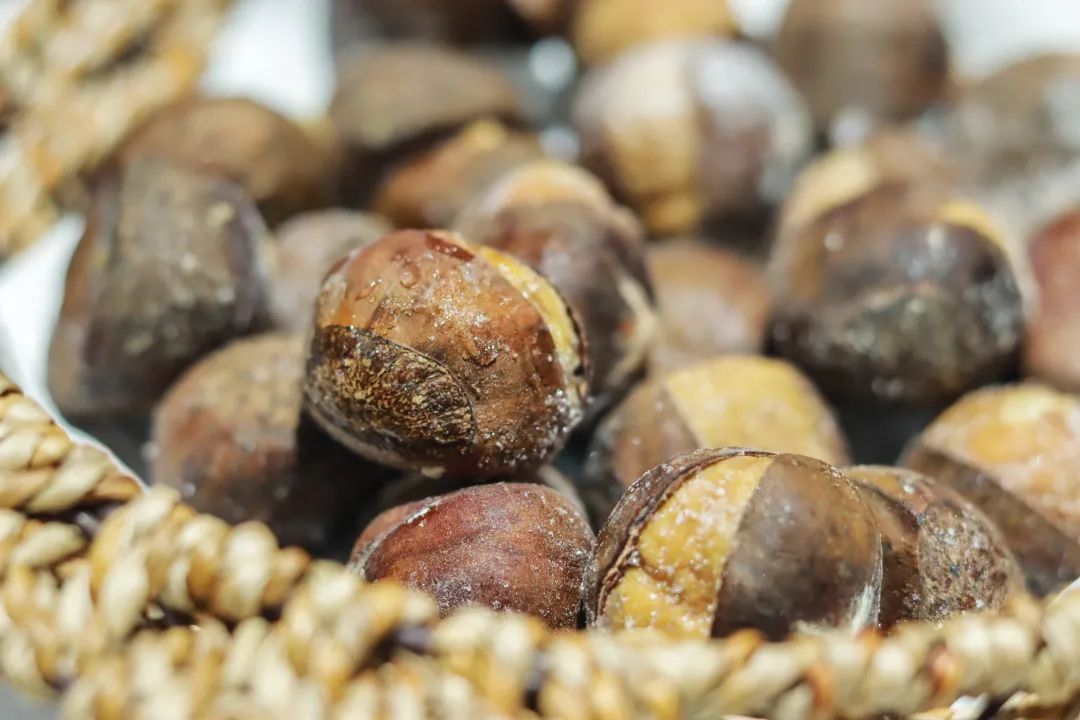 来了，2022太仓栗子不完整种草指南