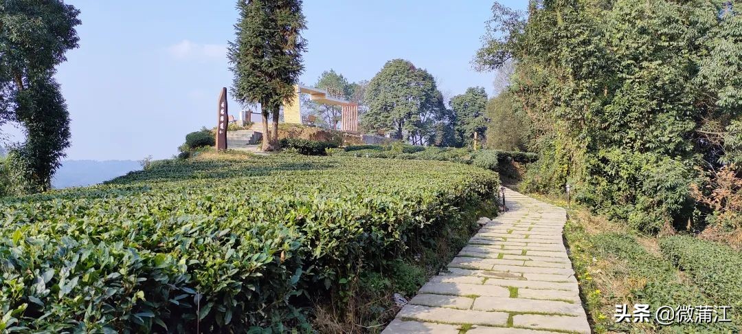 朝阳湖云端绿道,朝阳湖绿道