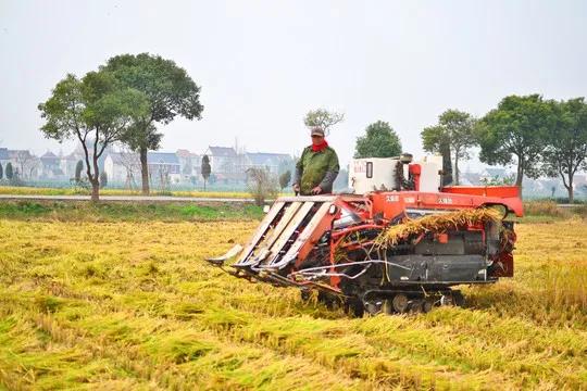 适合农村创业项目小吃,适合农村创业项目推荐