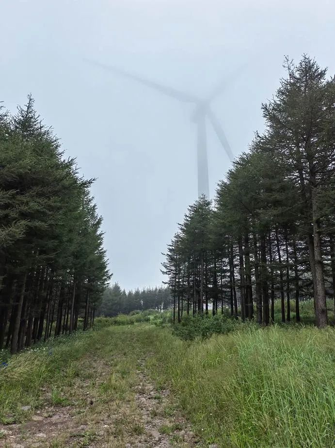 灏忓ぉ灞遍夯鐢板箔鏅尯鍦ㄥ摢,楹荤敯宀皬澶╁北鐢ㄩ绾﹀悧