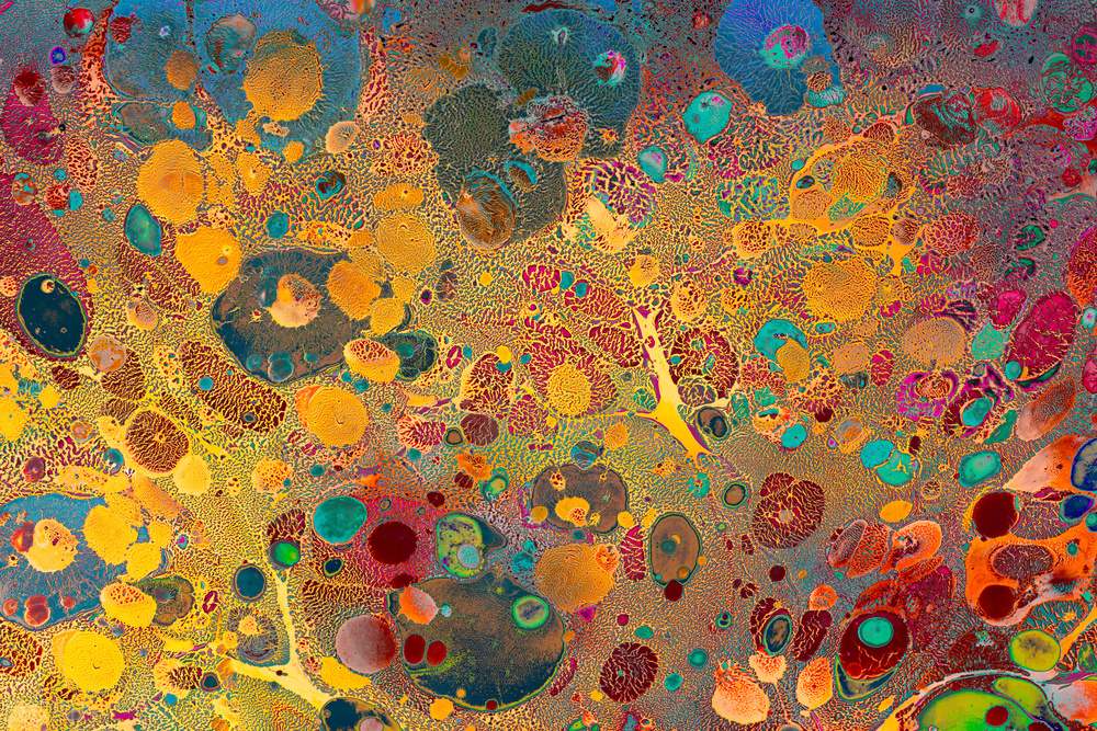 5分钟教你学会看星盘,新手从零开始学看星盘