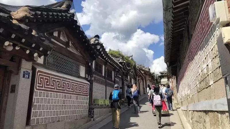 韩国给中国人挂黄牌是什么意思,日本韩国红黄牌惩罚了谁