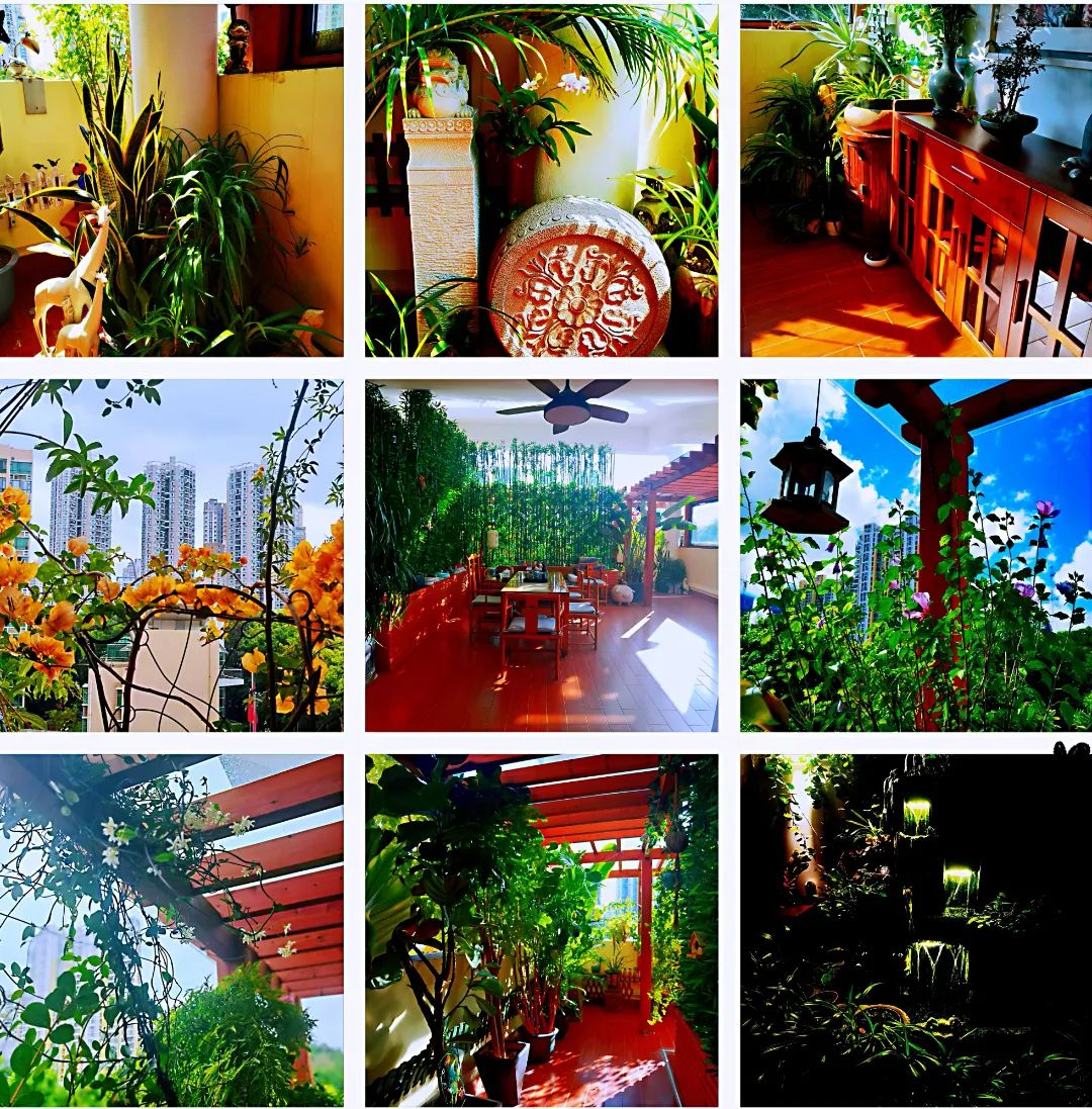 很多人羡慕的阳台,让别人羡慕的阳台