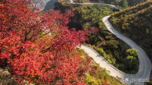 山行唐杜牧古诗意思讲解,杜牧山行书法小篆作品欣赏