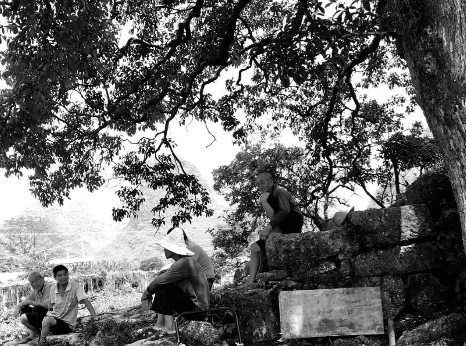 小伙用1200买烂树根,捡个树根做根雕