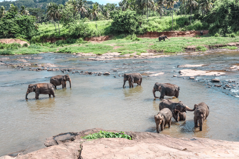 斯里兰卡旅游攻略必去景点,斯里兰卡最佳旅游攻略