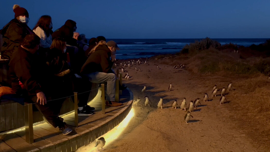 疫情后哪个国家旅游最好,疫情后海外旅游推荐