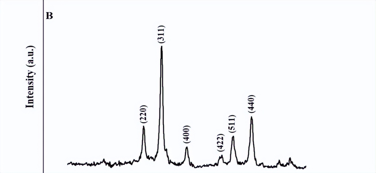 通过Fe3O4纳米复合材料，对水介质中去除Cu和Cd离子进行表征