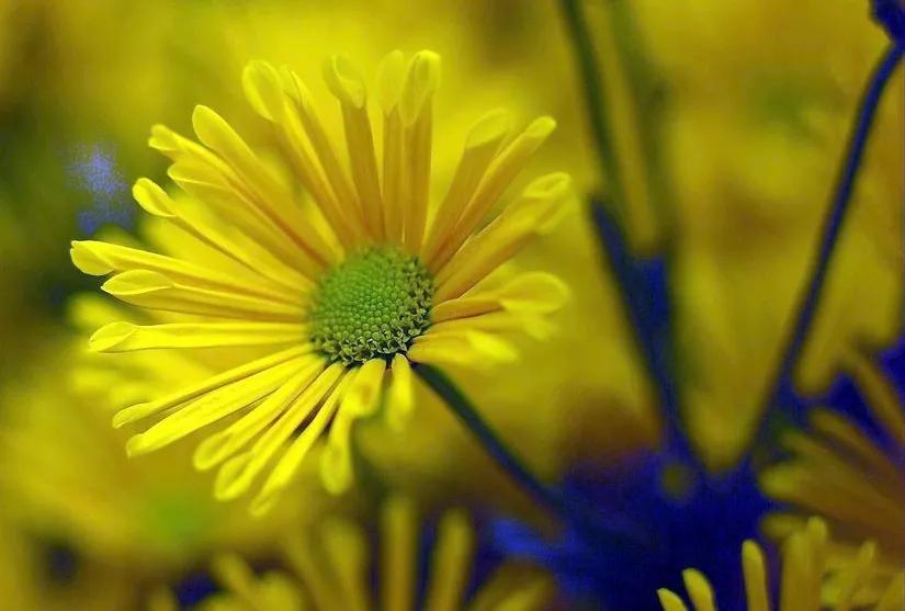 私密术后护理注意事项,私密激光术后护理注意事项