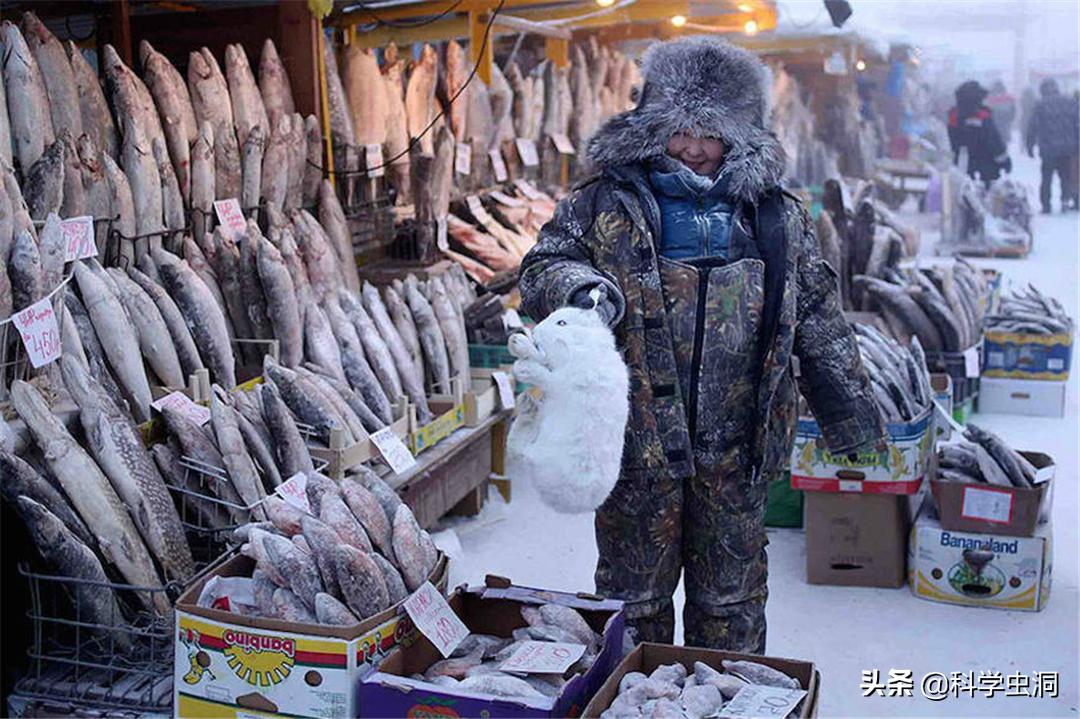 奥伊米亚康极寒气候的原因,侣行极寒之地奥伊米亚康