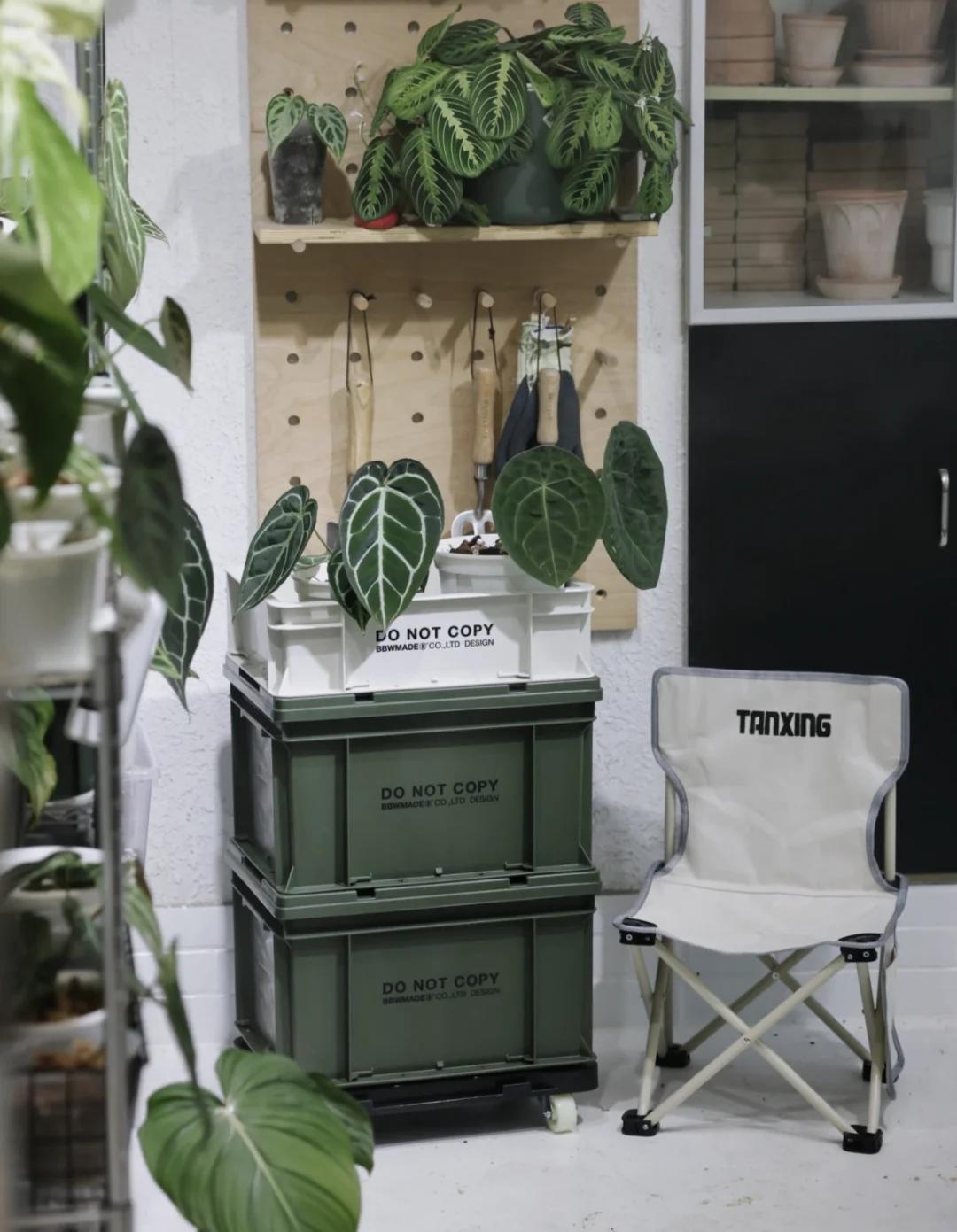 网购省钱的5个小绝招,网购学会这些省钱关键词