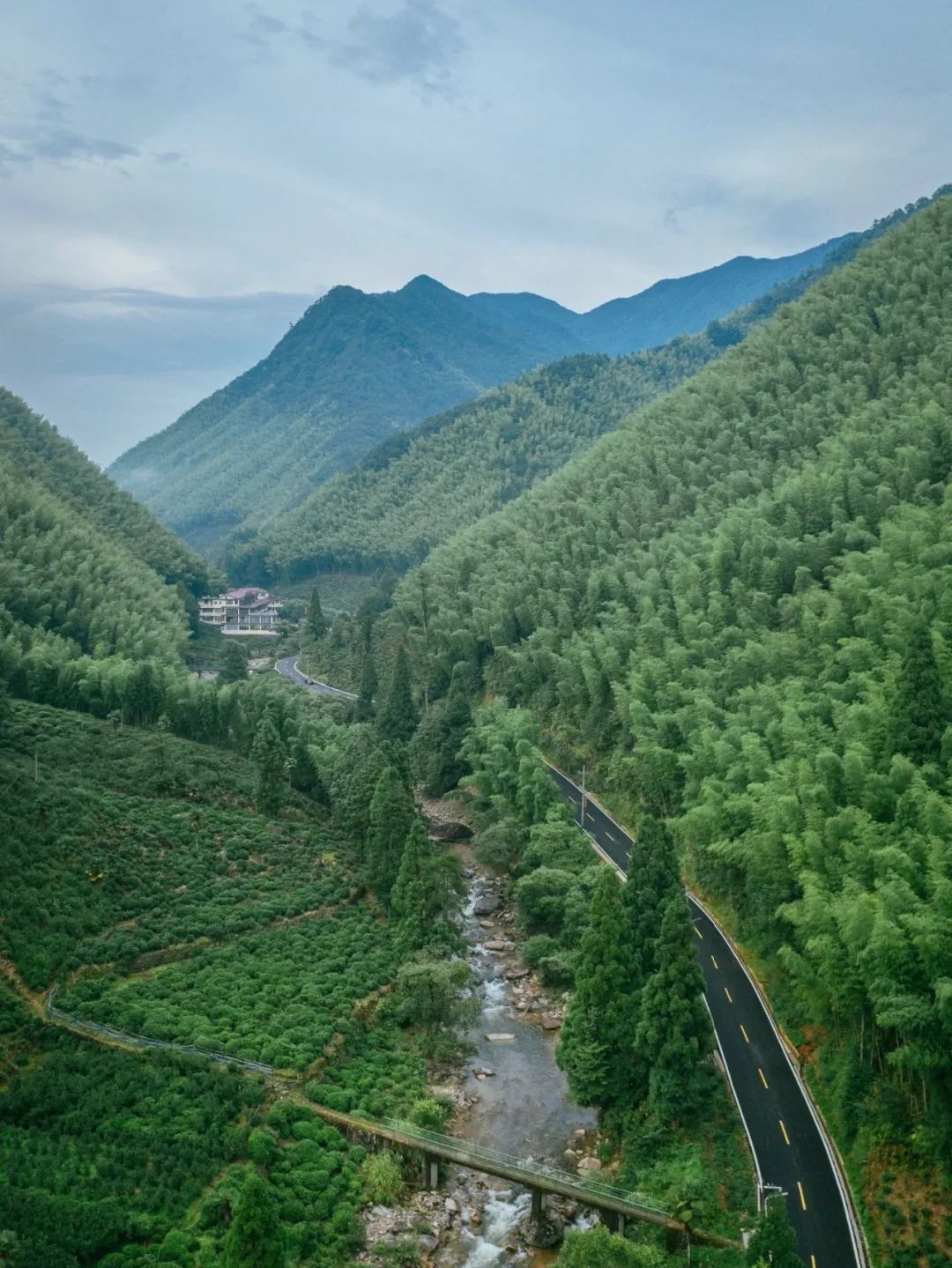 如何了解武夷山茶,探寻武夷