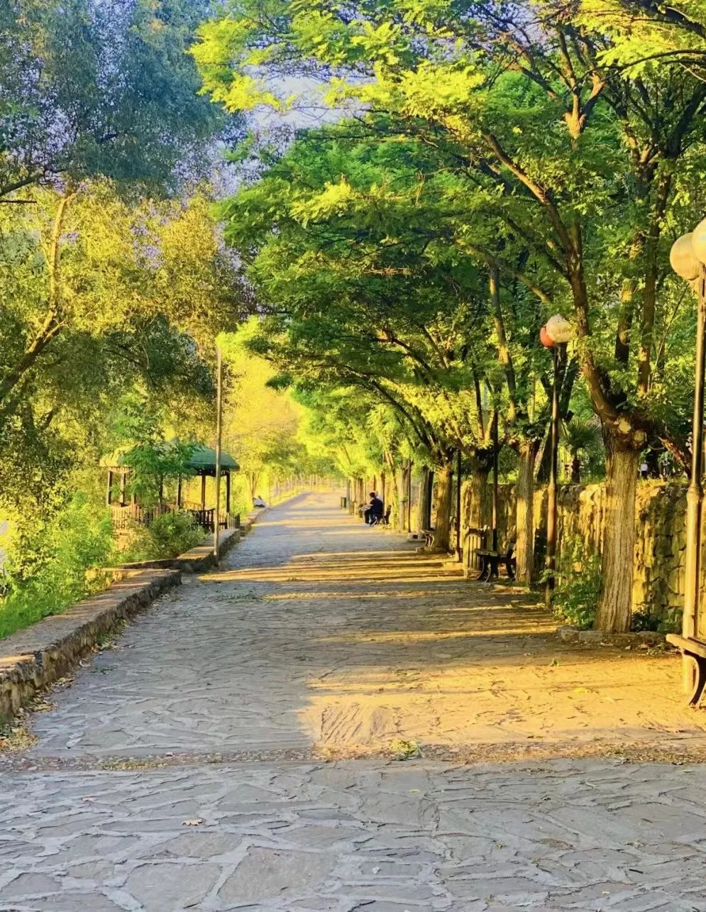 75岁老人抗击肺癌,80岁老人抗癌症