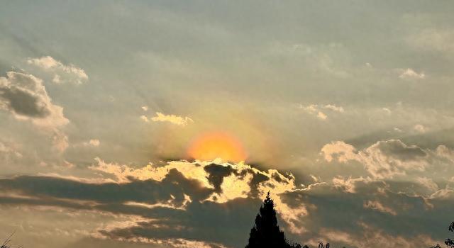 花粉现象,花粉景观