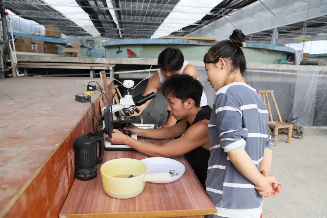 4项国家专利加持！养殖尾水处理制胜法宝！探秘佛山南海这家农企→