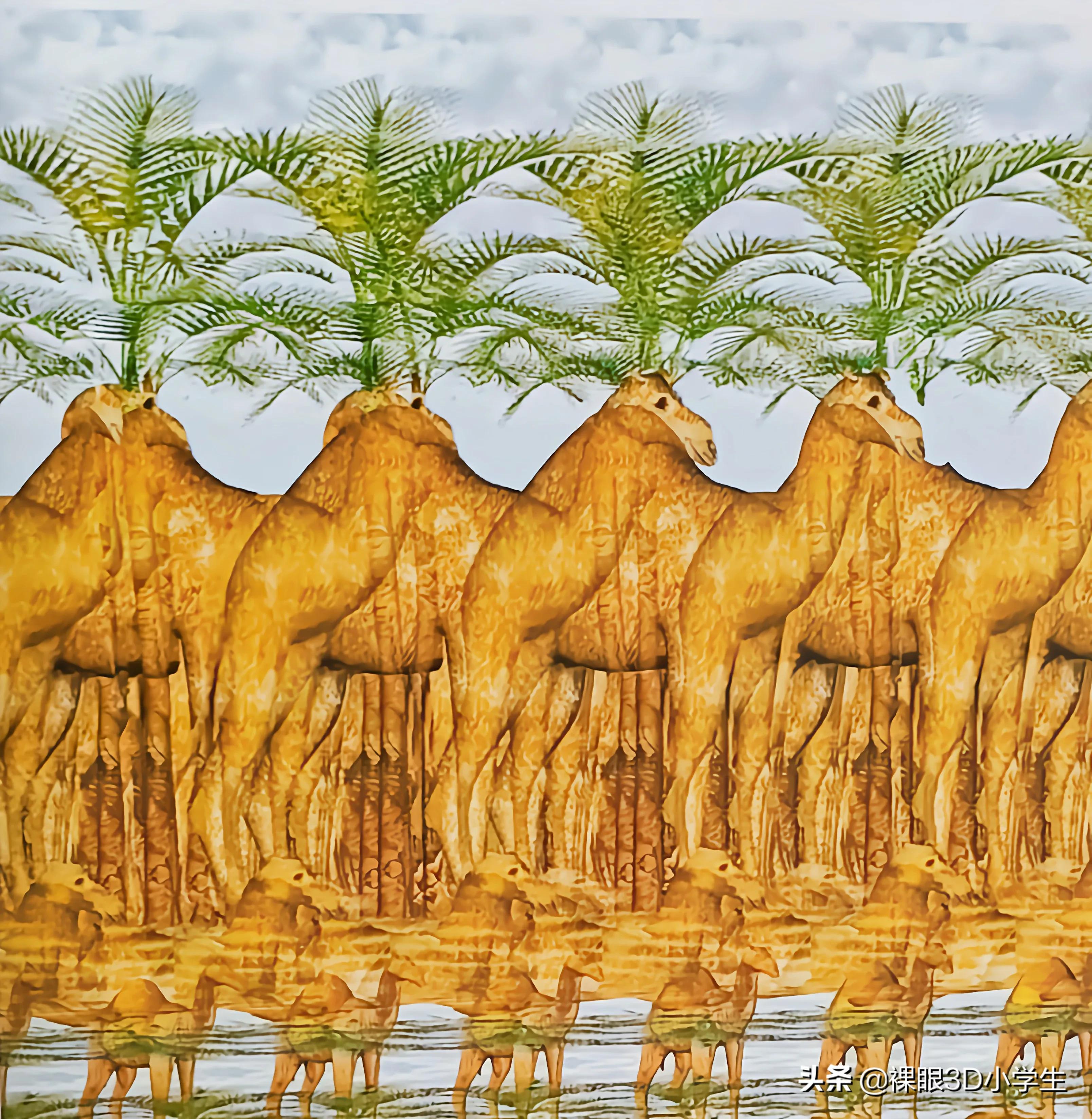 精选图片为什么不推荐,精选绝对精美图片