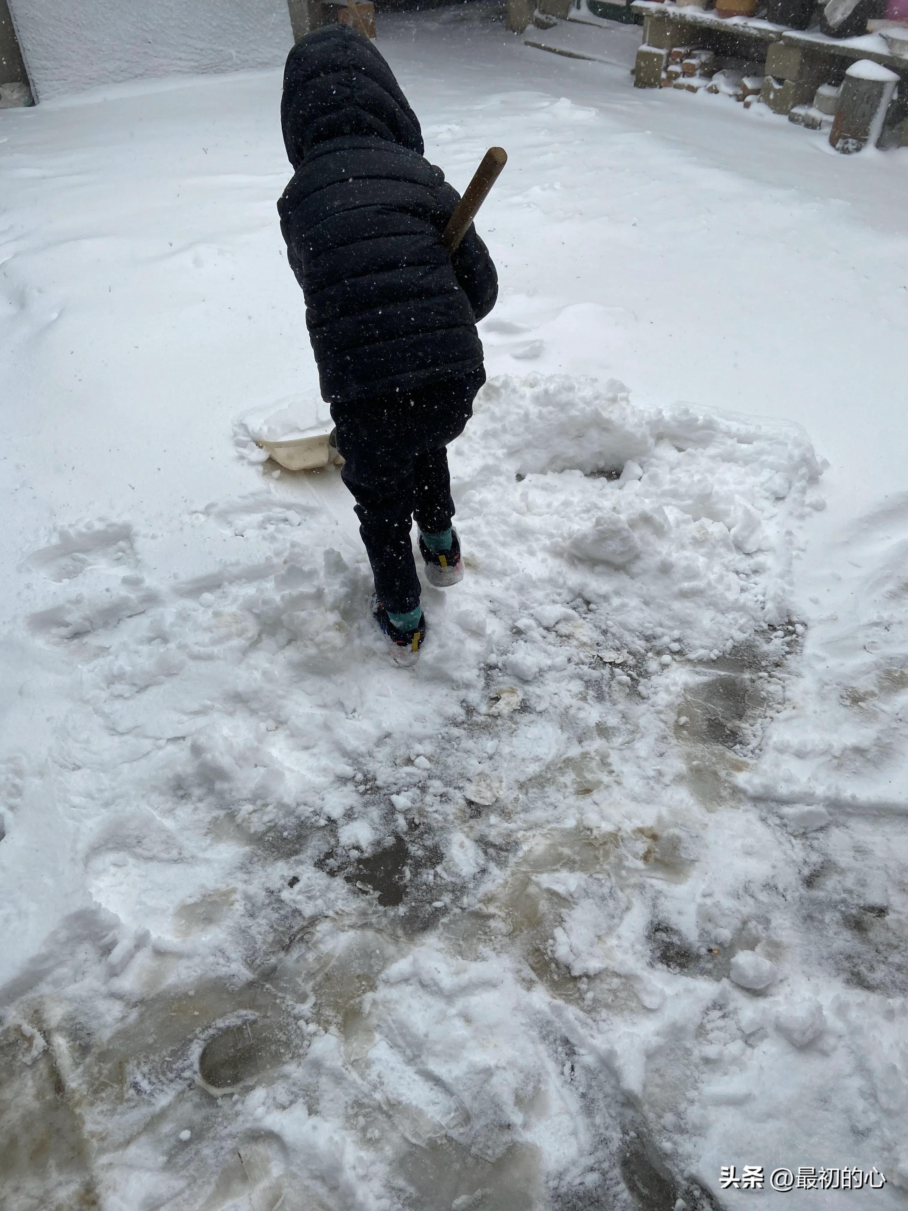 披荆斩棘的前行,披荆斩棘完整版